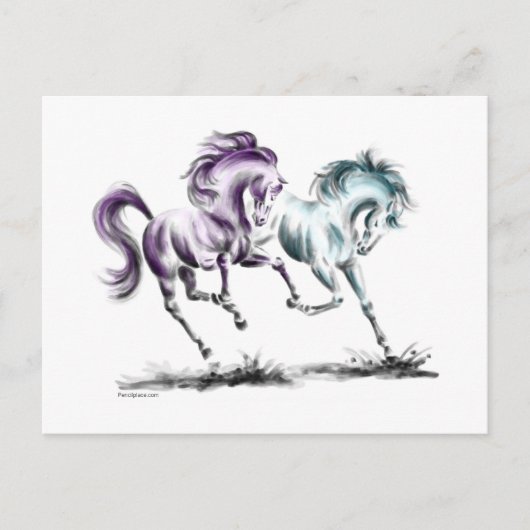 Wildpferde Postkarte (Vorderseite)