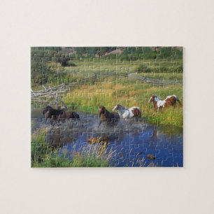 Wildpferde Puzzle