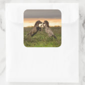 Wildpferde Quadratischer Aufkleber (Tasche)