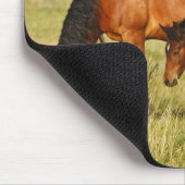 Wildpferdmutter und Fohlen beim Grasen Mousepad (Ecke)
