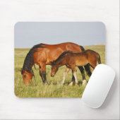 Wildpferdmutter und Fohlen beim Grasen Mousepad (Mit Mouse)