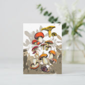 Wildpilze Postkarte (Stehend Vorderseite)