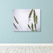 Wildrasssaat Leinwanddruck (Insitu (Holzboden))