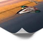 Wildreservat Poster (Ecke)