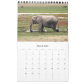 Wildsafari Kalender (Mär 2026)