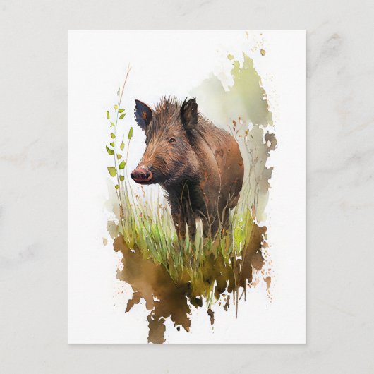 Wildschwein im Wasser auf einer Waldreinigung Postkarte (Vorderseite)