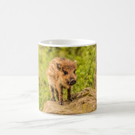 Wildschwein Kaffeetasse (Mittel)