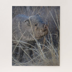 Wildschwein Puzzle