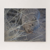 Wildschwein Puzzle (Horizontal)