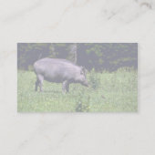 Wildschwein Visitenkarte (Rückseite)
