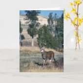 Wildschweinbuck Karte (Gelbe Blume)