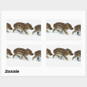 Wildschweinchen im Schnee, Deutschland Rechteckiger Aufkleber (Blatt)