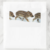 Wildschweinchen im Schnee, Deutschland Rechteckiger Aufkleber (Tasche)