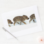 Wildschweinchen im Schnee, Deutschland Rechteckiger Aufkleber (Umschlag)