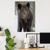 Wildschweine im Schnee Poster (Heimbüro)