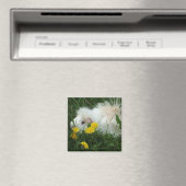 Wildschweine Magnet (In Situ (Geschirrspüler))