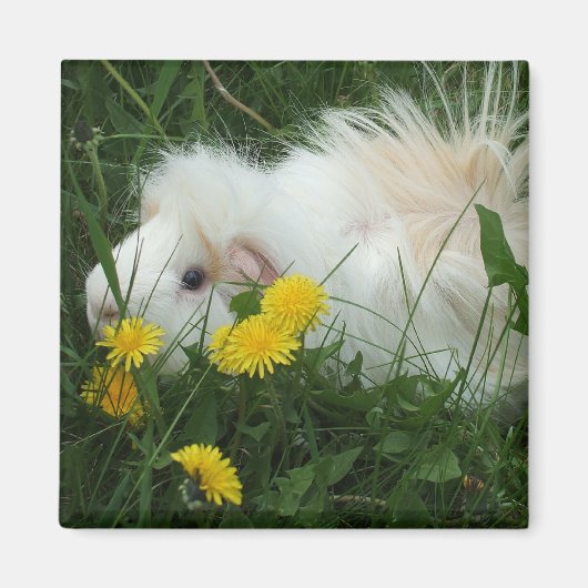 Wildschweine Magnet (Vorne)