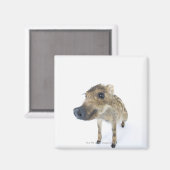Wildschweine Magnet (Vorderseite/Rückseite)