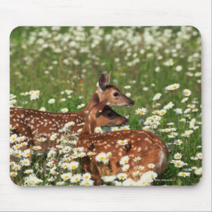 Wildschweine Mousepad