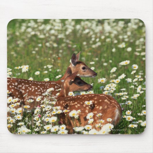 Wildschweine Mousepad (Vorne)