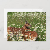 Wildschweine Postkarte (Vorne/Hinten)