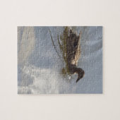 Wildschweine schwimmen im See, Natur, Vögel Puzzle (Horizontal)