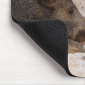 Wildschweine - Wild Hog Mousepad (Ecke)