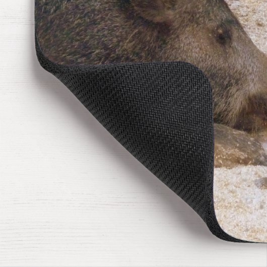 Wildschweine - Wild Hog Mousepad (Ecke)