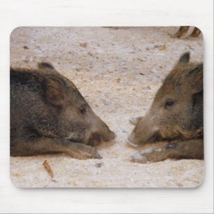 Wildschweine - Wild Hog Mousepad