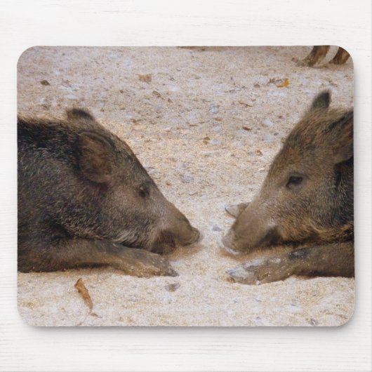 Wildschweine - Wild Hog Mousepad (Vorne)