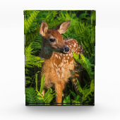 Wildschweingewächse | Minnesota Fotoblock (Vorderseite)