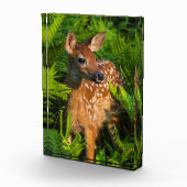 Wildschweingewächse | Minnesota Fotoblock (Rechts)