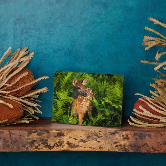 Wildschweingewächse | Minnesota Fotoplatte (Seite)