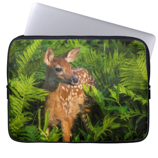 Wildschweingewächse | Minnesota Laptopschutzhülle (Vorderseite)