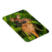 Wildschweingewächse | Minnesota Magnet (Rechte Seite)