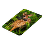 Wildschweingewächse | Minnesota Magnet (Linke Seite)