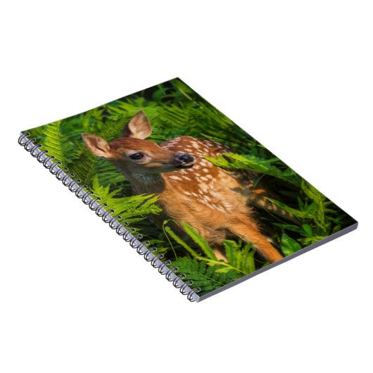 Wildschweingewächse | Minnesota Notizblock (Rechte Seite)