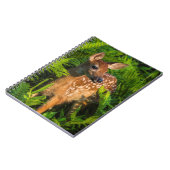 Wildschweingewächse | Minnesota Notizblock (Linke Seite)