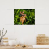 Wildschweingewächse | Minnesota Poster (Küche)