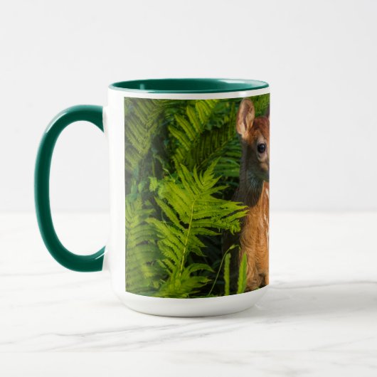 Wildschweingewächse | Minnesota Tasse (Links)
