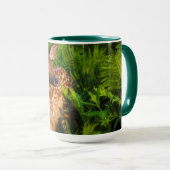 Wildschweingewächse | Minnesota Tasse (VorderseiteRechts)