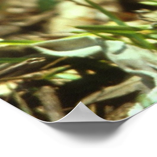 Wildschweingewächse Poster (Ecke)