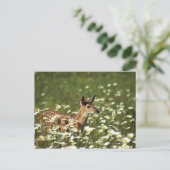 Wildschweinhirsche im Bereich der Blume, Postkarte (Stehend Vorderseite)