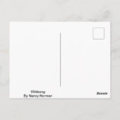 Wildsong Postkarte (Rückseite)