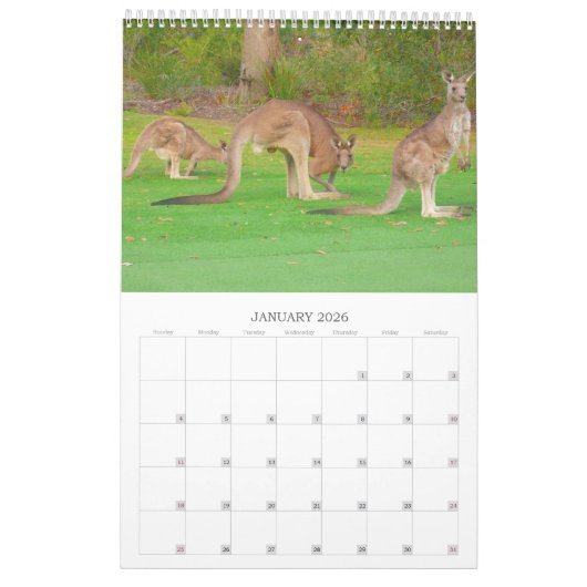 Wildtier-Foto Kalender (Jan 2026)