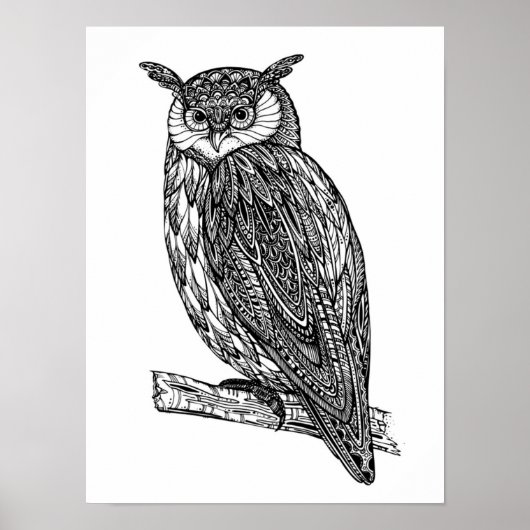 Wildtier-Owl Doodle 2 Poster (Vorne)