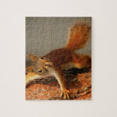Wildtier-Puzzle-Eichhörnchen-Jigsaw-Puzzle Puzzle (Vertikal)