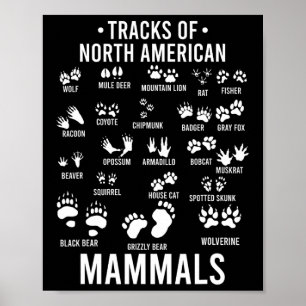 Wildtier-Spuren nordamerikanischer Säugetiere - Ge Poster