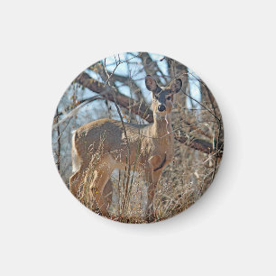 Wildtier-Wald-Foto Magnet
