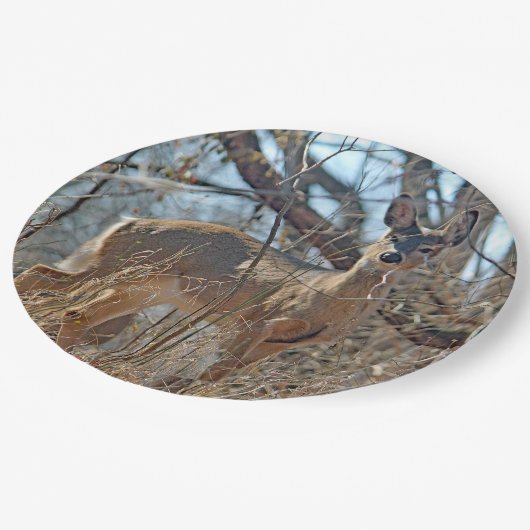 Wildtier-Wald-Foto Pappteller (Schrägansicht)